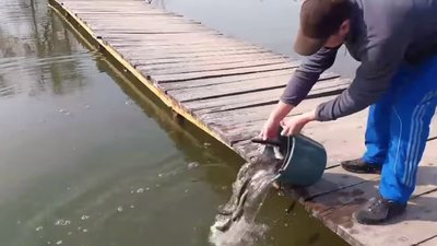 У парку Золочева зарибили озеро (ВІДЕО)