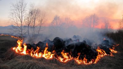 У Бориславі під час пожежі сухостою загорівся чоловік