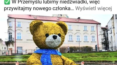 Мешканців Перемишля обурив ведмедик в українському стилі