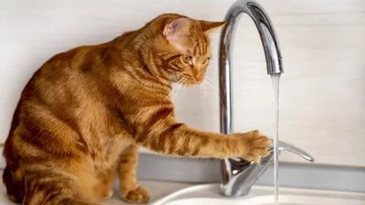 У Сихівському районі відключили водопостачання