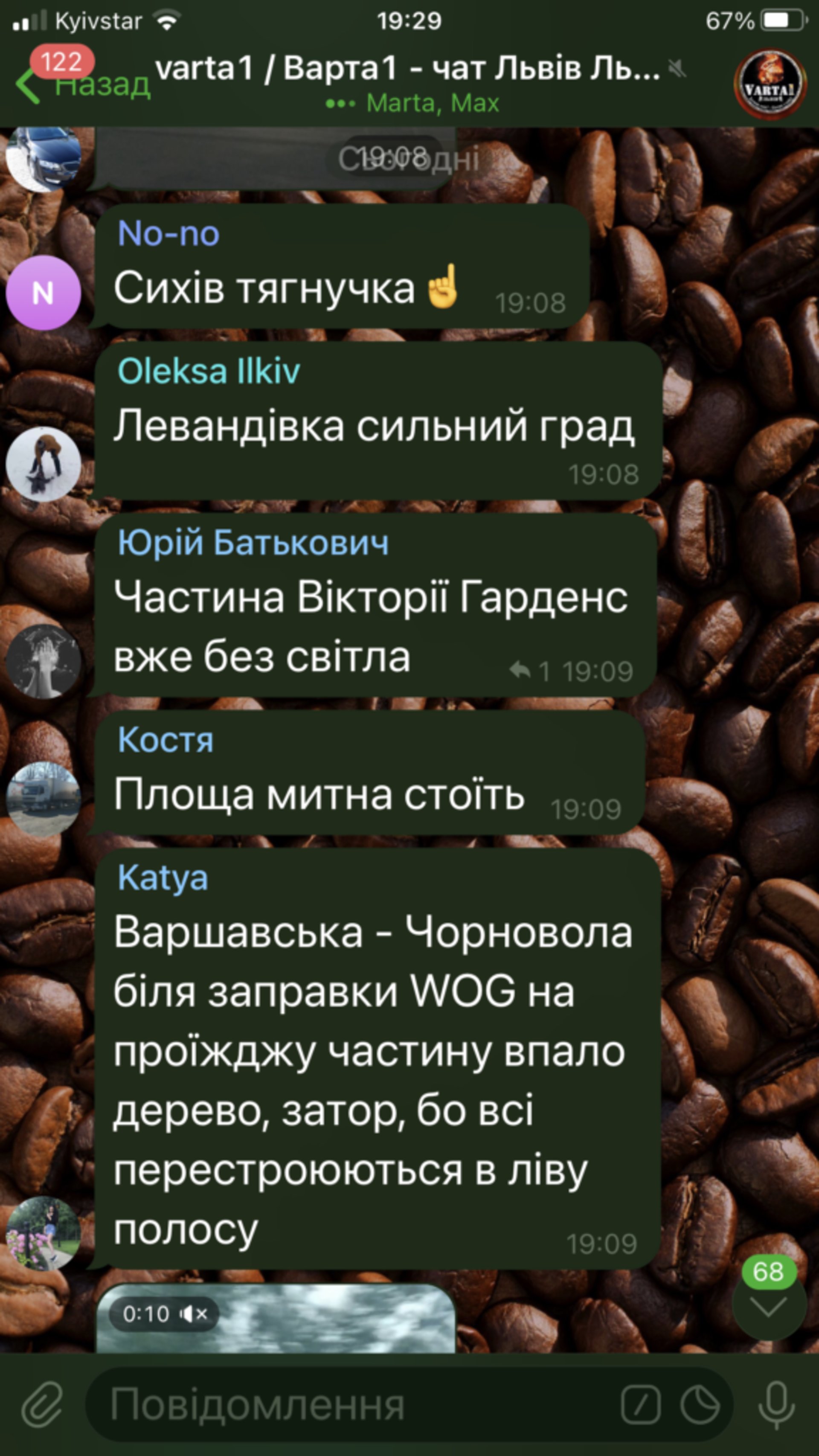 У Львові негода знову повалила дерева