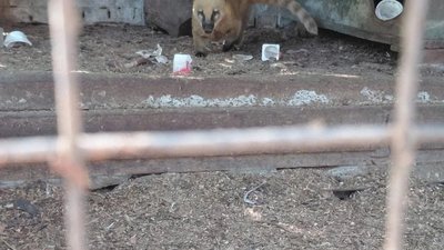 У Львові спалахнув скандал довкола еколого-натуралістичного центру