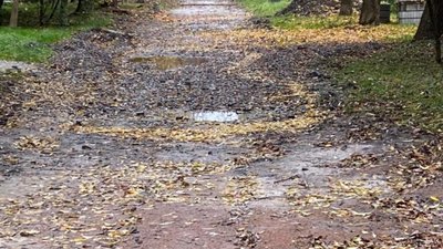У Львові на одній із вулиць крадуть бруківку