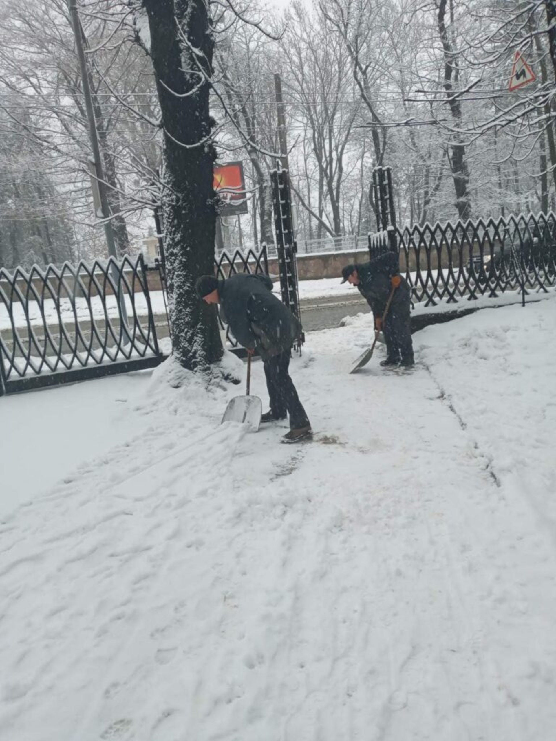 У Львові закликають уникати прогулянок у парках, фото Стрийського парку