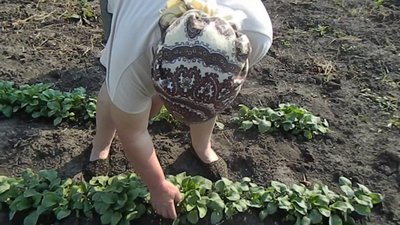 На Львівщині селяни скаржаться, що у них відбирають городи (ВІДЕО)