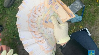 На Львівщині викрили лісника, який продавав деревину (ФОТО)