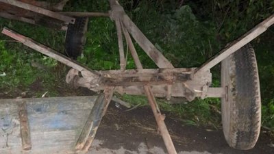 На Львівщині травмована 11-річна пасажирка кінної підводи