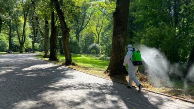 Львів'ян просять кілька днів не відвідувати Стрийський парк