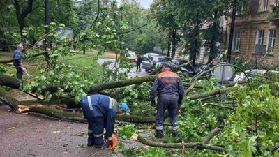 У Львові скоротили рух тролейбусів