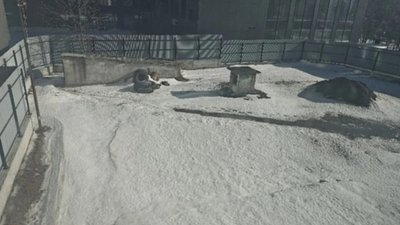 У Львові просять привести до ладу бомбосховище