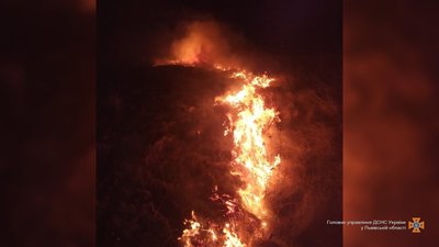 У Жовкві ледь не згоріли коні