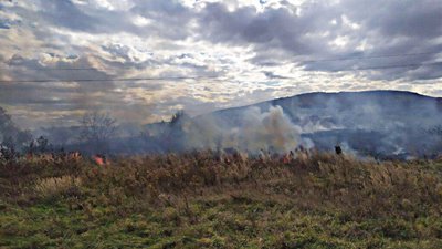 На Львівщині ліквідували шість пожеж сухої трави