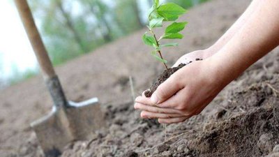 Львівська ОДА започатковує масштабну екологічну акцію