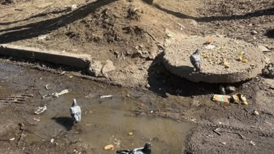 У Львові на вулицю витікає каналізація
