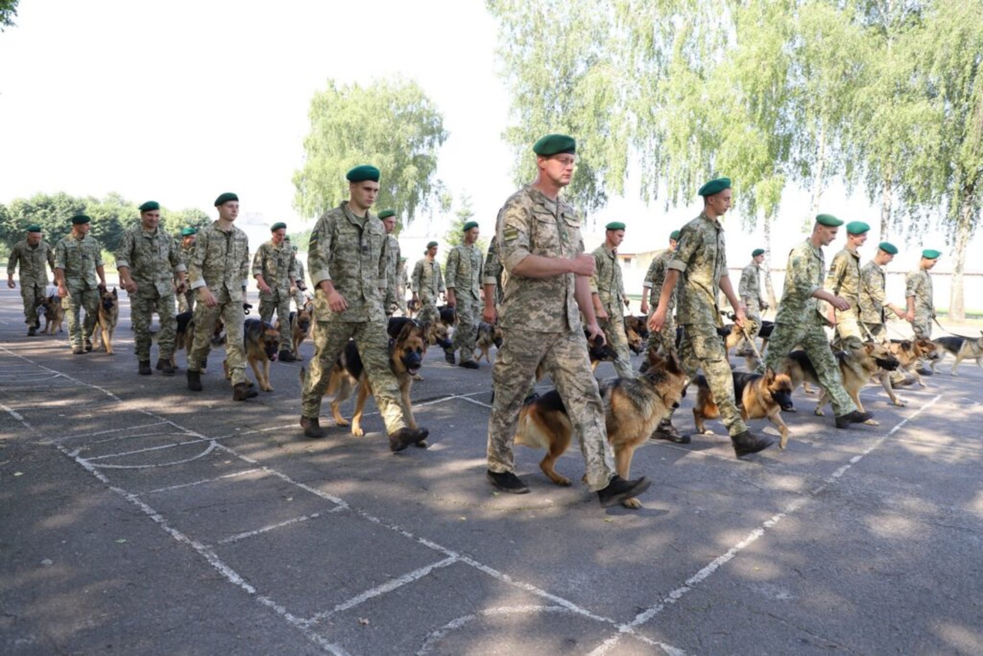 Собаки прикордонників вперше стануть учасниками параду до 30-річчя Незалежності України