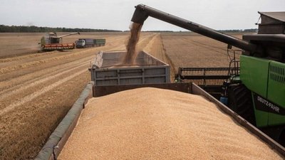 Росія вийшла на новий рівень мародерства: українське зерно крадуть поїздами