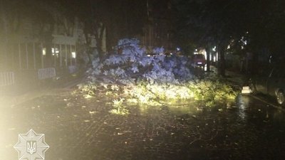 У Львові на Князя Романа перекрили рух (ФОТО)
