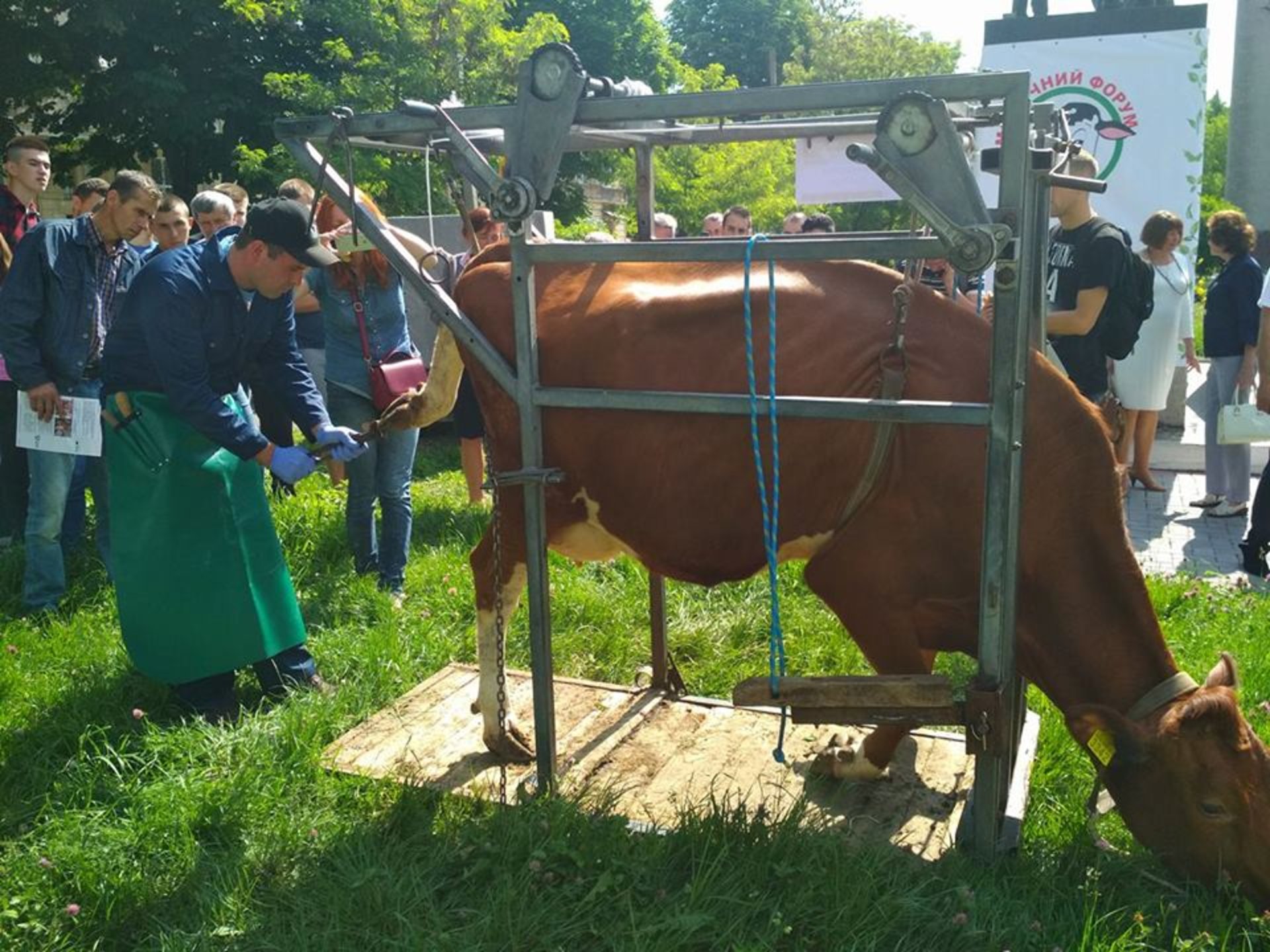 Львівщина, Молочний форум 2018.