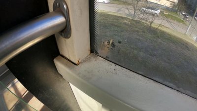 АТП Садового закликали помити львівські автобуси не для показухи, а для комфорту пасажирів (ФОТО)