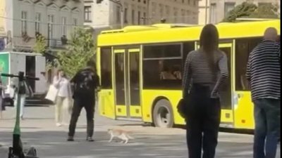 У центрі Львова чоловік знущався із кота (ВІДЕО)