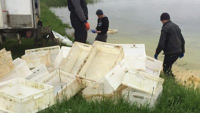 Біля Львівського моря утилізують рештки тварин
