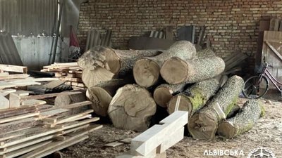 Директора одного із ДЛГП «Галсільліс» підозрюють у вимаганні хабарів за продаж лісу (ФОТО)
