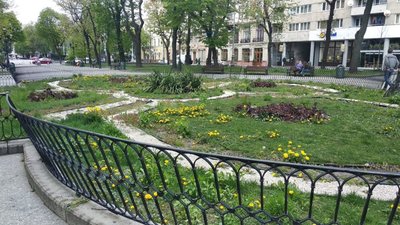Як у центрі Львова під час карантину клумби поросли бур'янами (ФОТО)