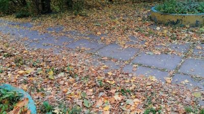 У Львові комунальники не прибирають листя