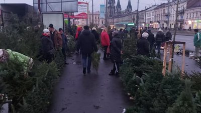 На Привокзальній продавці ялинок перетворили велодоріжки на торгові ряди (ФОТО)