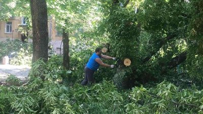 Равлики: у Львові комунальні служби продовжують прибирати місто від наслідків негоди (ФОТО, ВІДЕО)