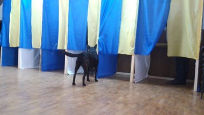 І таке було: світлини з виборчих дільниць Львівщини