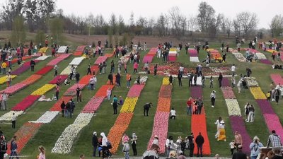 Під Києвом, попри карантин, великий дендропарк почав пускати відвідувачів (ФОТО)