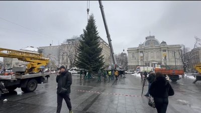 Патрульна поліція Львівщини показала, як привезла ялинку у центр Львова (ВІДЕО)