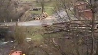 На Закарпатті чоловік серед білого дня застрелив собаку (ВІДЕО)