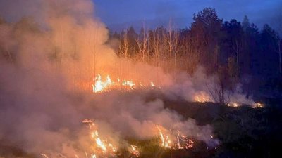 На Львівщині згоріли 11 дачних будинків