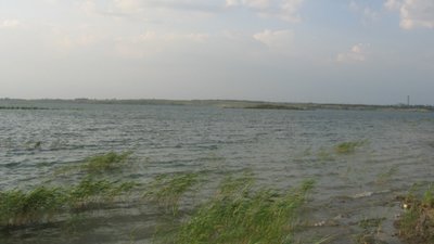 Поліція встановлює обставини загибелі чоловіка на території Яворівського навчального центру