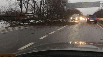 У Львові негода наробила лиха (ФОТО)