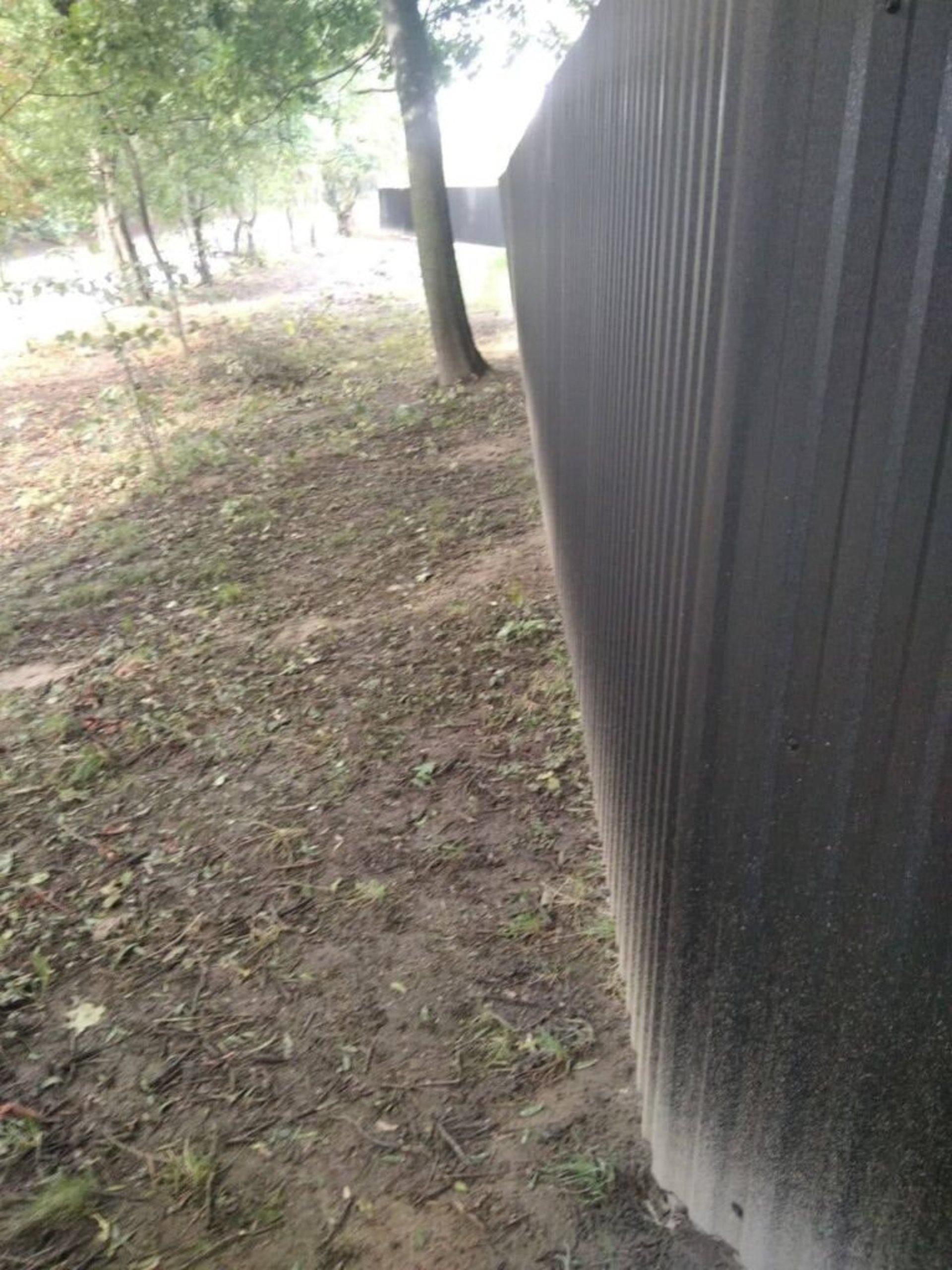 У Львові самовільно захопили землю і зрізали дерева