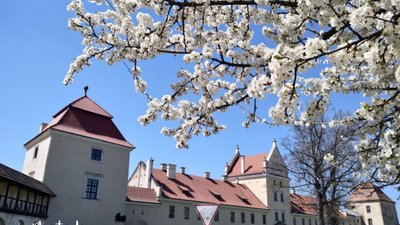 У Жовкві заквітли дерева (ФОТО)