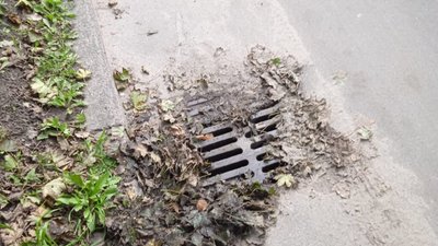 У Львові не чистять дощоприймачі (ФОТО)