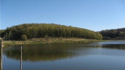 У райцентрі на Львівщині знайшли мертвим чоловіка, який зник кілька днів тому