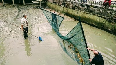 Жодна риба не постраждала: у Львові спустили став у Парку культури (ФОТО)