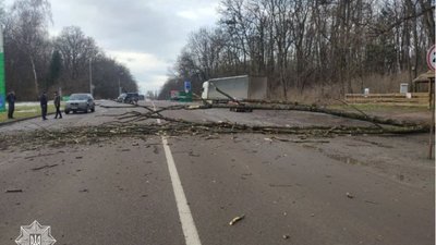На Львівщині перекрито рух трасою "Львів – Шегині" (ФОТО)