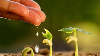Аграріям Львівщини з обласного бюджету виділено 19,6 млн грн