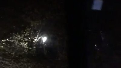 Біля Львова водій вилетів з дороги у кущі (ВІДЕО)