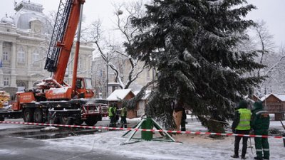У центрі Львова встановили головну ялинку (ВІДЕО)