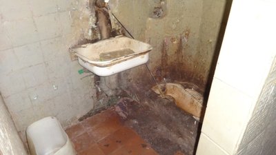 У лікарні львівського СІЗО зграями бігають щурі (ФОТО)