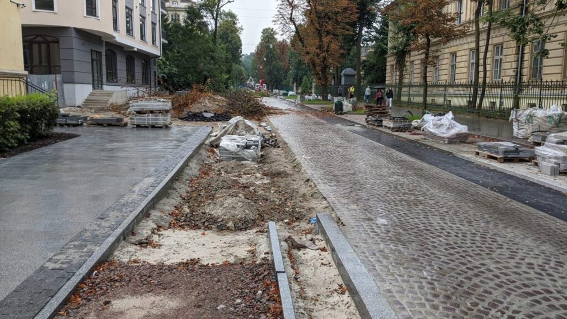 У Львові на Пекарській зрізали два дерева, фото ВелоЛьвів
