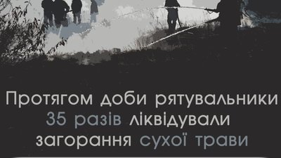 Протягом доби на Львівщині 35 разів ліквідовували пожежі сухої трави