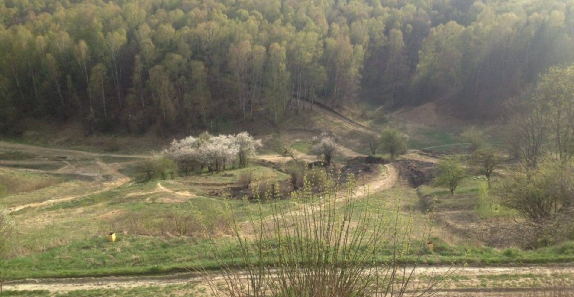 Як у Львові наслідуючи мера, львів’янин засмітив місто